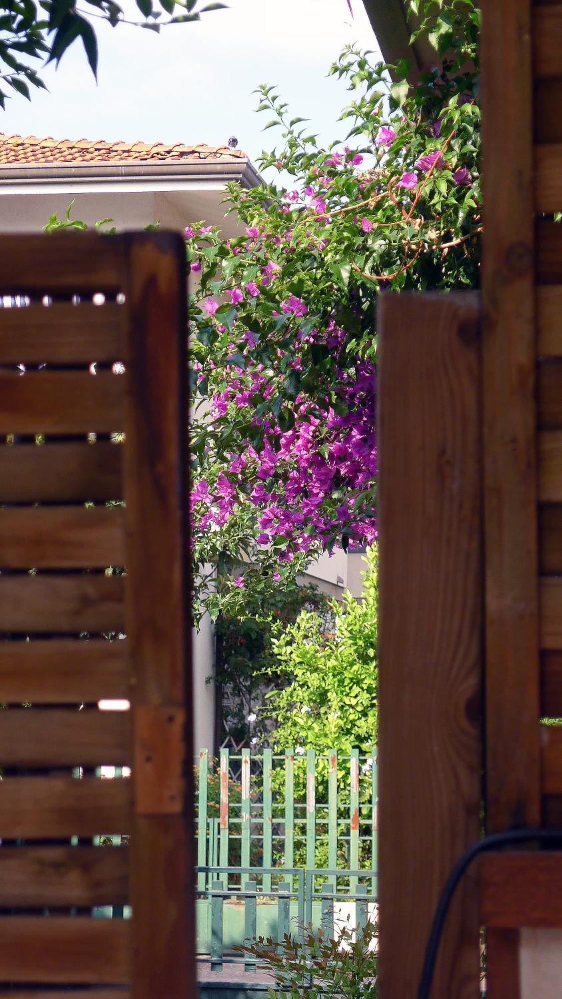 Raya Sea House Apartment Torre del Lago Puccini